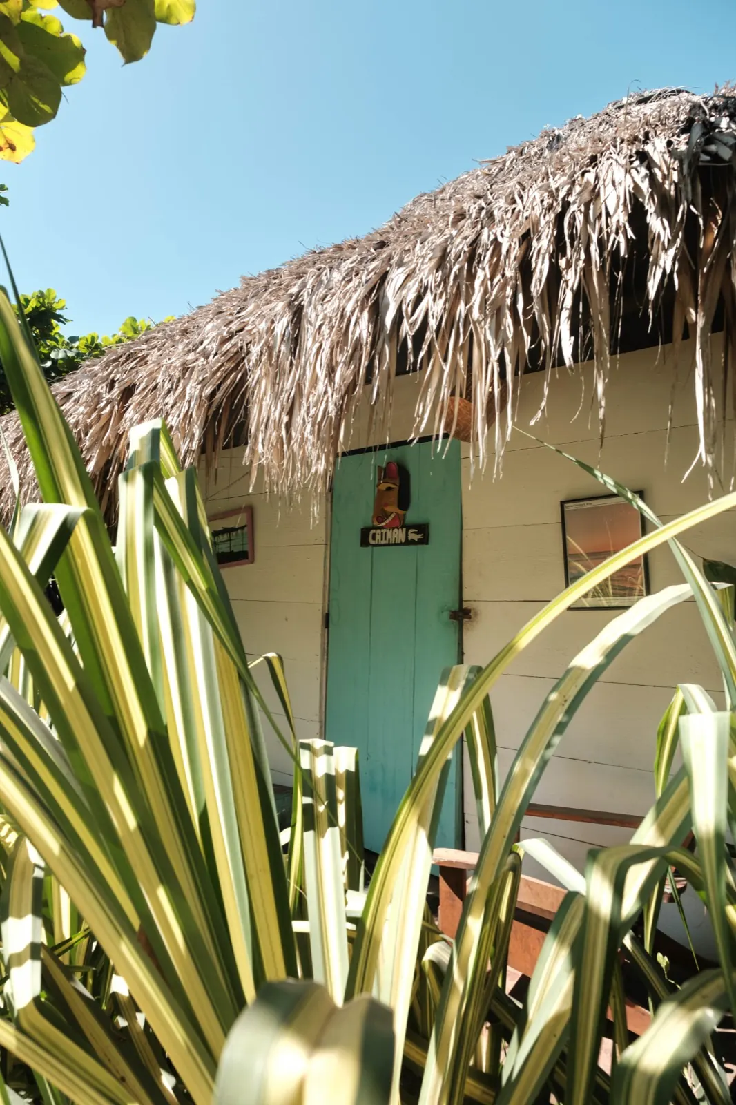 Cocorí Lodge exterior, photo 5