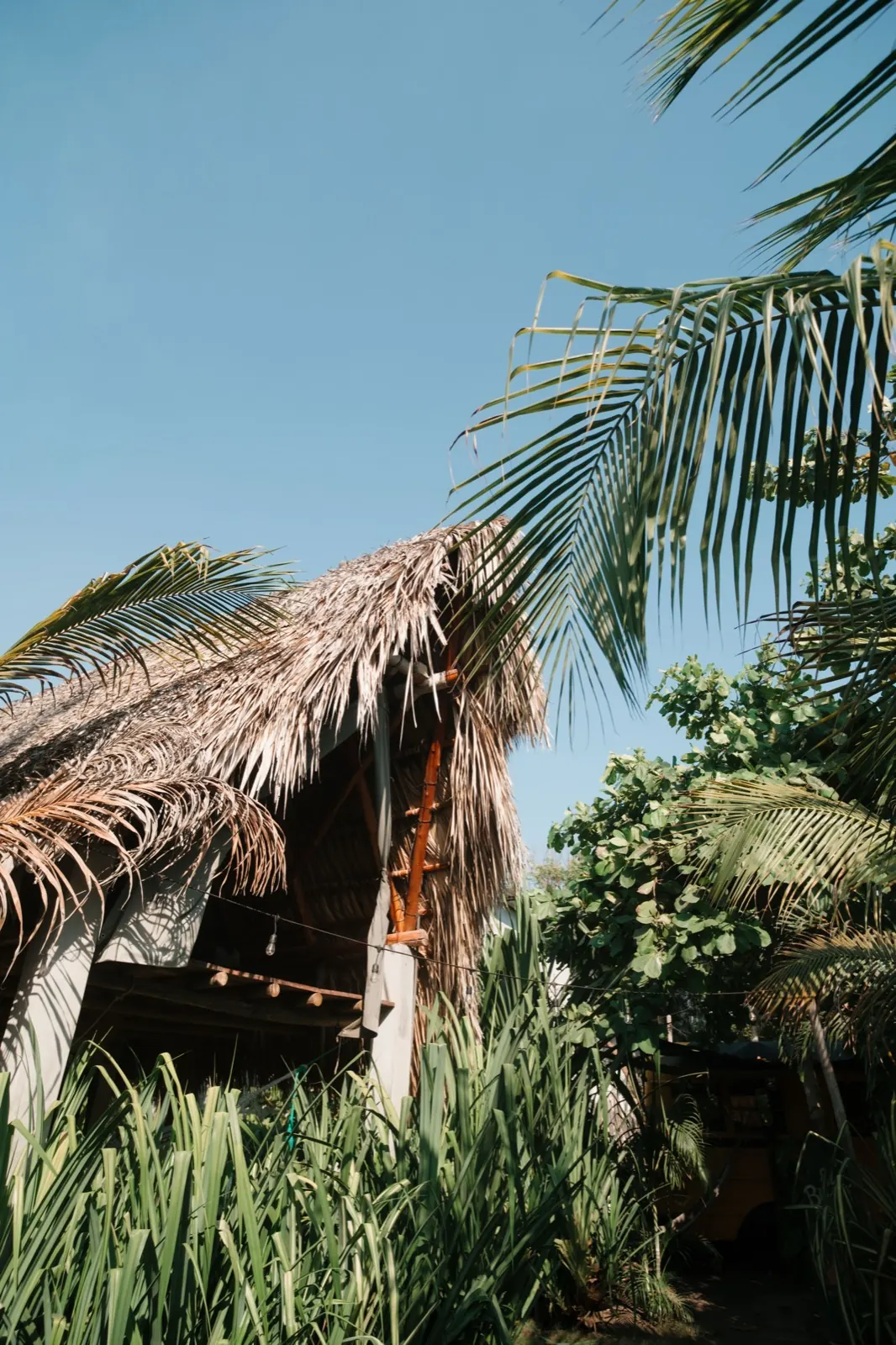 Cocorí Lodge exterior, photo 16
